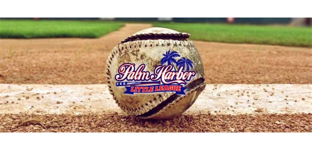 Palm Harbor Little League